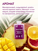 Сменные блоки освежителя воздуха с ароматом манго 1 л. 