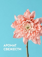 Средство для чистки акриловых ванн, сантехники 500 мл.